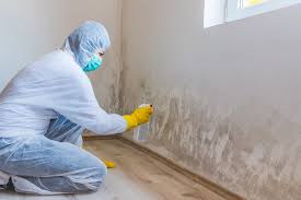 Best Mold Removal for HVAC Installations in Oakton, VA