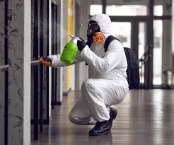 Best Industrial Mold Remediation in Oakton, VA